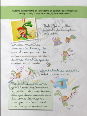 Primero Básico Primero Básico/