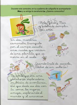 Primero Básico Primero Básico/